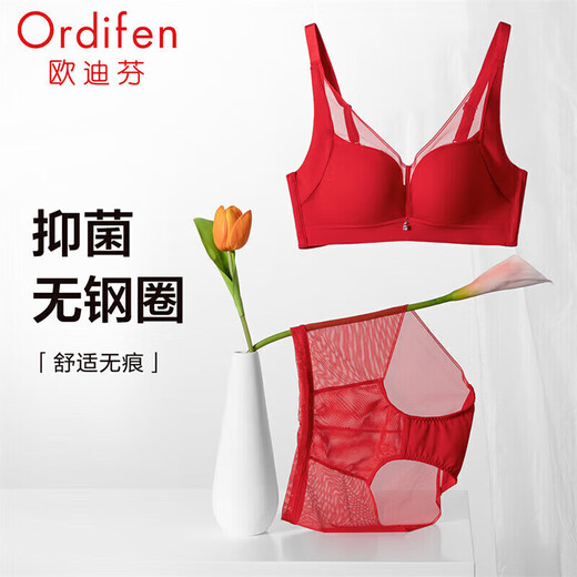 Ordifen Women's Underwear No Wires Zodiac Year of the Horse New Year Antibacterial Seamless Bra Set Skin Friendly Small Breast Push Up Bra Chinese Red 75A