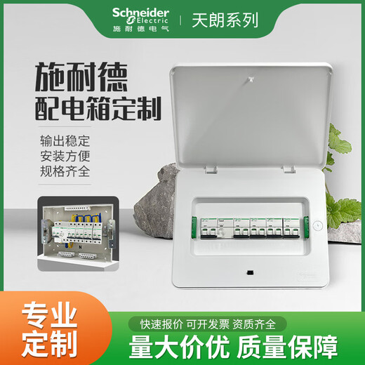 Schneider Schneider Tianlang customized 16 concealed TLA08B surface mounted TLM20B circuit pz30 strong power box complete set concealed 20 circuits (finished wiring)