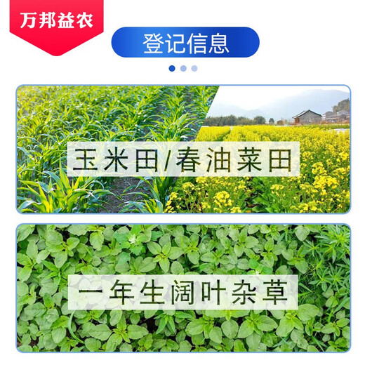 Guoguang Pesticide Guoguang Judou 30% Clopyralid Spring Wheat Annual Broad-leaf Weed Spring Rapeseed Herbicide 100ml