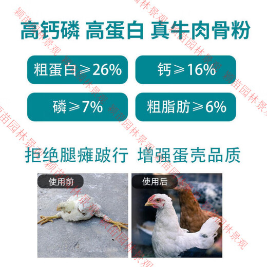 Bone meal for chickens and ducks, beef bone meal for chickens, ducks and geese, special for dogs, veterinary feed, fine flower fertilizer for growing flowers and vegetables, pure beef bone meal 1 Jin Jin is equal to 0.5 kg