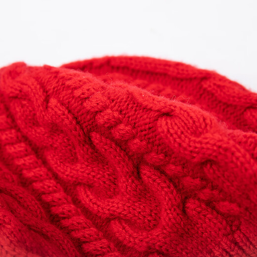 Hengyuanxiang Fashion Solid Color Wool Knitted Hat Women's Autumn and Winter New Warm Baotou Ear Protective Wool Hat Black One Size