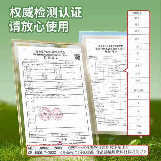 Youao disposable tableware set 5-piece set for 1 person bowls, chopsticks, cups, spoons and plates biodegradable tableware New Year's no-wash dinner party