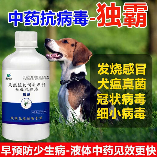 Dominate anti-viral dog and cat special to enhance immunity, parvovirus, canine distemper, cough, fever, vomiting and diarrhea premix, parvovirus*canine distemper*flu*fever*nest cough*vomiting 2 bottles, only for pets