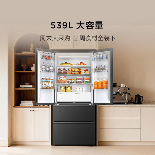 TCL Xiaoqingning 539L French multi-door refrigerator dual system dual purification large capacity first-class energy efficiency household refrigerator first-class energy efficiency air-cooled R539V7-DS national subsidy