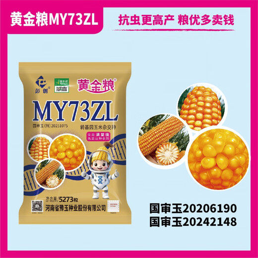 黄金粮MY73ZL【转基因版】抗虫抗草甘膦抗锈稳产玉米种子抗病种籽 【5273粒/袋】5袋装