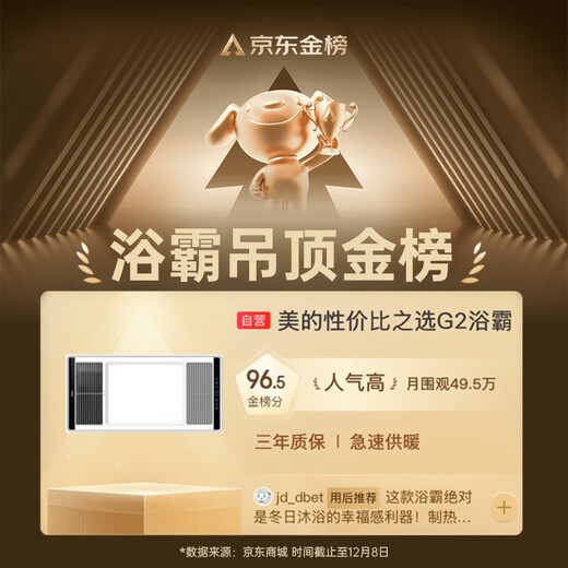 美的（Midea）浴霸暖风照明排气一体集成300x600风暖卫生间暖风机换气浴霸灯G2