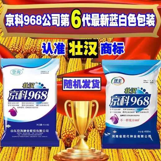 Семена кукурузы стабильноурожайные, короткостебельные, двустебельные, засухо- и переувлажненные, устойчивые к болезням и полеганию, Национальное одобрение Академии сельскохозяйственных наук, Shikoku Shenjingke 968/4000 зерна.