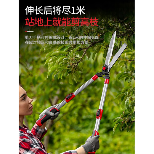 TRUVOER German garden scissors for cutting grass, greening, gardening, pruning branches, special pruning shears, complete collection of gardening lawn scissors, upgraded straight blade - garden shears (SK5 steel blade)