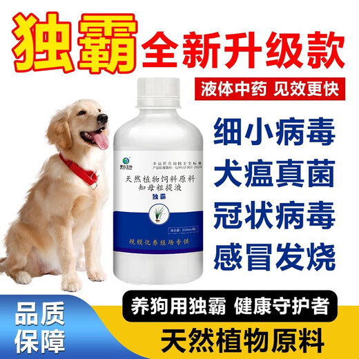 Dominate anti-viral dog and cat special to enhance immunity, parvovirus, canine distemper, cough, fever, vomiting and diarrhea premix, parvovirus*canine distemper*flu*fever*nest cough*vomiting 2 bottles, only for pets