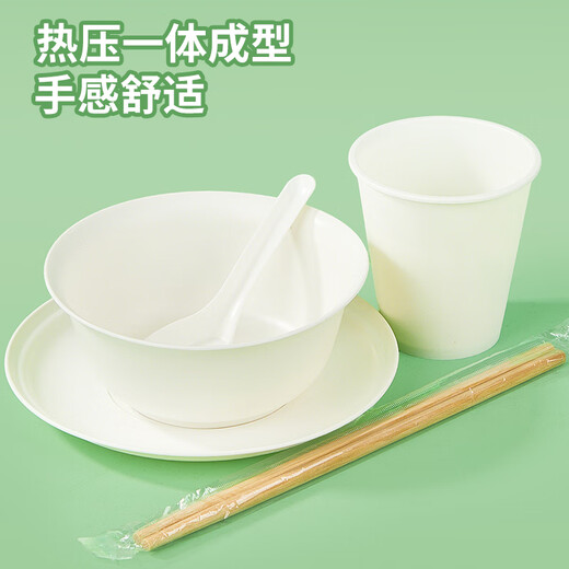 Youao disposable tableware set 5-piece set for 1 person bowls, chopsticks, cups, spoons and plates biodegradable tableware New Year's no-wash dinner party