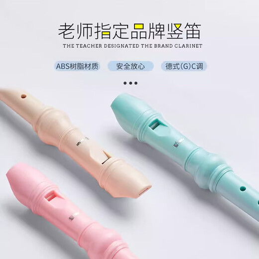 Swan (SWAN) recorder treble German-style children's students classroom teaching beginners practice flute musical instrument school season gift German-style treble 6-hole Nava white standard