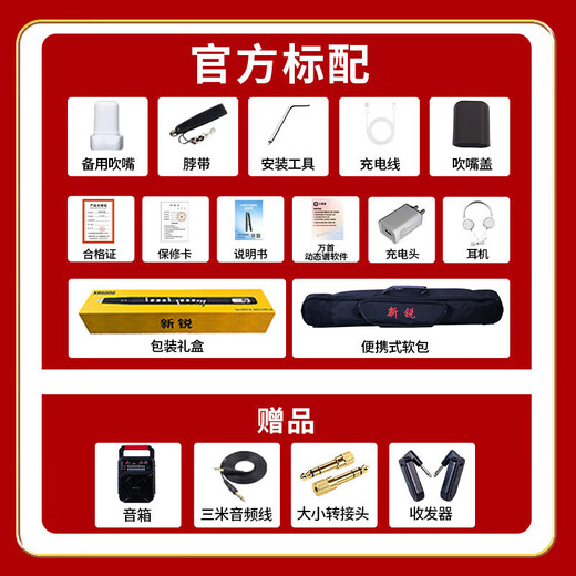 Xinrui XR6000 electric wind instrument domestically produced professional electronic saxophone for middle-aged and elderly beginners in black standard