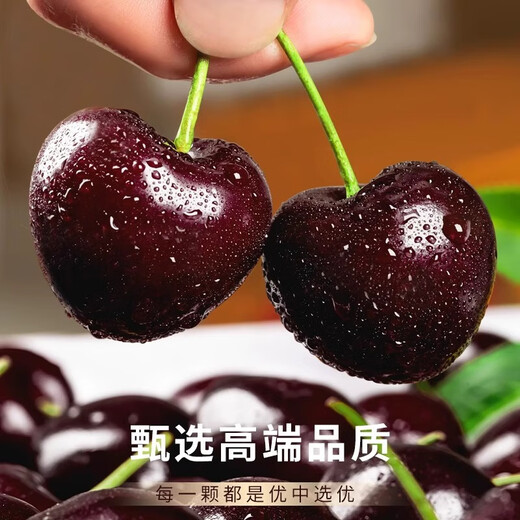 Jingdida Chile imported cherries 4J grade extra large fruit 3Jin Jin is equal to 0.5kg, single fruit 32-34mm, fresh fruit gift box sent directly from the source