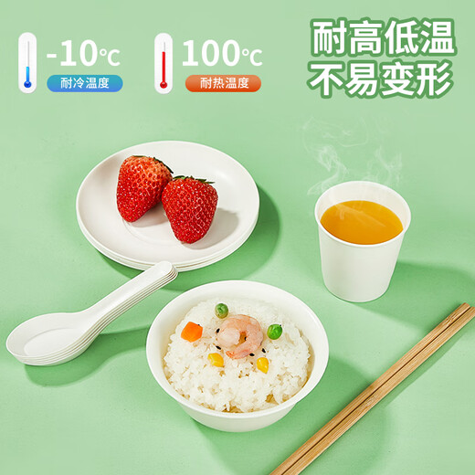 Youao disposable tableware set 5-piece set for 1 person bowls, chopsticks, cups, spoons and plates biodegradable tableware New Year's no-wash dinner party