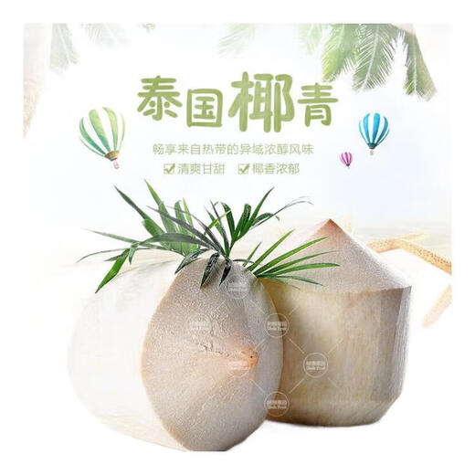Thai perfumed coconut green, fresh coconut water, fresh fruit, now imported with original packaging - fresh fruit, Thai coconut green 1.5-2Jin Jin equal to 0.5kg / 2 pieces