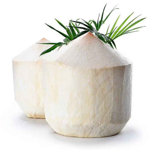 Thai perfumed coconut green, fresh coconut water, fresh fruit, now imported with original packaging - fresh fruit, Thai coconut green 1.5-2Jin Jin equal to 0.5kg / 2 pieces