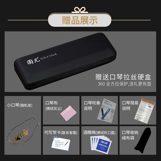 国光国光口琴专业演奏级重音德国进口音簧复音C调初学者入门成人自学 24孔 C调 复音黑色+全套赠品