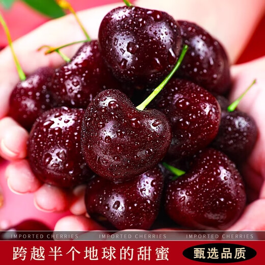 Jingdida Chile imported cherries 4J grade extra large fruit 3Jin Jin is equal to 0.5kg, single fruit 32-34mm, fresh fruit gift box sent directly from the source