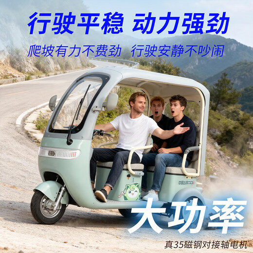 Flying Pigeon electric tricycle for the elderly, household electric tricycle for adults, small-sized, covered, all-in-one pick-up and drop-off for children Chaowei/Tianneng 600W60V24AH black gold about 120 miles