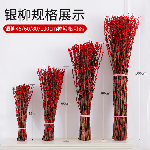 Fresh branches of blue longan and silver willow, New Year's Eve festive flowers, can be grown in water or dried, colorful and lucky 45CM 30 branches straight from the source