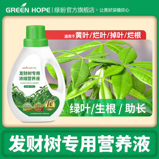 Lupan special nutrient solution fertilizer for money trees to prevent and control yellowing leaves, falling leaves and root rot, hydroponic indoor living room soil plants