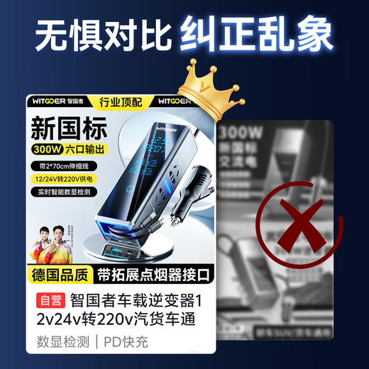 Wise Nation car inverter 12v24v to 220v car truck universal high-power cigarette lighting conversion transformer charger plug