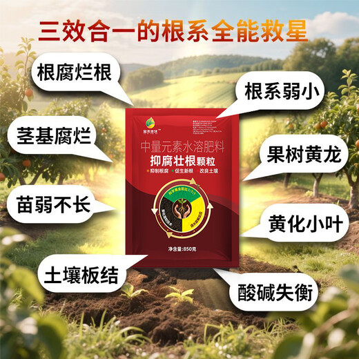 Jinhe Fengwo three-in-one anti-corrosion and root-strengthening granules, anti-root rot, root-promoting, seedling-strengthening and soil-improvement fertilizer, 3 bags-affordable pack