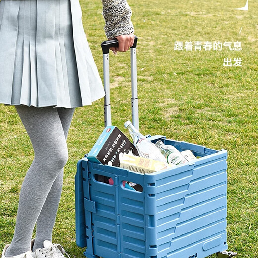 Yusenyi vegetable shopping cart, portable folding shopping cart, courier cart, travel trolley, Yunchuhuang 50L, upgraded and thickened, four-wheel silent universal wheels, load bearing 150