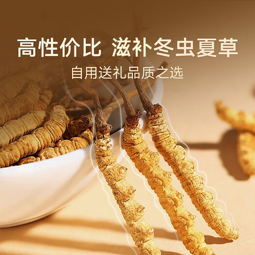 同仁堂（TRT）冬虫夏草礼盒约4根/g10g约40根虫草礼盒年货礼品高端营养品送长辈