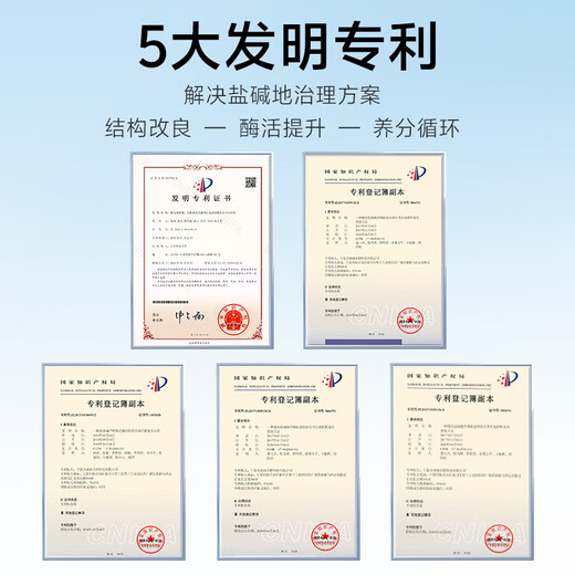 Wangtianwang soybean fermentation 2 billion beneficial bacteria spores exopolysaccharide soil conditioner household salt-adjusting alkali-resistant rooting fertilizer soil fertilizer