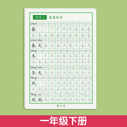 金枝叶一年级下册练字帖同步生字字帖小学生1-6年级专用人教版语文每日一练写字练字本硬笔书法练习贴