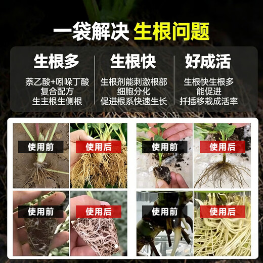 5% indole butyric acid, naphthalene acetic acid, plant universal flower seedling cutting rapid rooting liquid, rooting and seedling strengthening agent 10g bag, explosive rooting liquid 1 bag