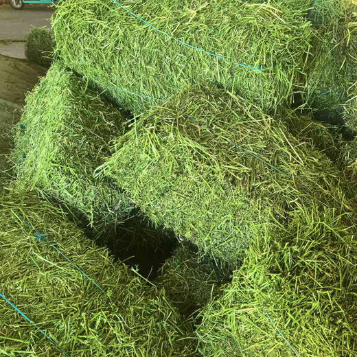 Alfalfa hay, fodder for cattle, sheep and horses, alfalfa fodder for alpacas, large zoo feed, alfalfa 10kg