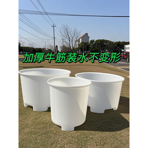 Water bucket, food grade thickened beef tendon plastic drum, food grade water storage bucket, fermentation, brewing, pickle bucket, breeding bucket, large mouth bucket, stacker bucket, custom-made M500 beef tendon bucket high model does not include transportation