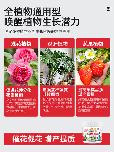 Lingwo Potassium Dihydrogen Phosphate Fertilizer Flower Special Bougainvillea Phosphate Fertilizer Household Potassium Fertilizer Flower Fertilizer Potted Plant Authentic Agricultural Explosive Potassium Dihydrogen Phosphate 500g*1 Can