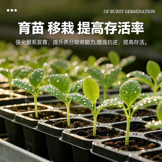 5% indole butyric acid, naphthalene acetic acid, plant universal flower seedling cutting rapid rooting liquid, rooting and seedling strengthening agent 10g bag, explosive rooting liquid 1 bag