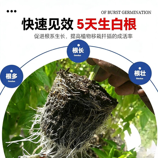 5% indole butyric acid, naphthalene acetic acid, plant universal flower seedling cutting rapid rooting liquid, rooting and seedling strengthening agent 10g bag, explosive rooting liquid 1 bag