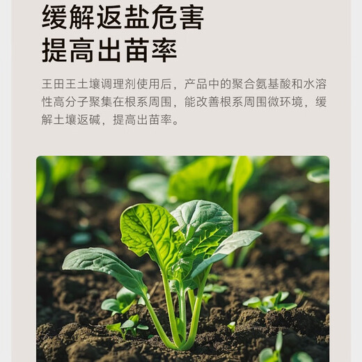 Wangtianwang soybean fermentation 2 billion beneficial bacteria spores exopolysaccharide soil conditioner household salt-adjusting alkali-resistant rooting fertilizer soil fertilizer