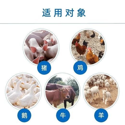 Maxing Shigan granules for veterinary use Eucommia leaf crude extract for pigs, pregnant animals, cattle, sheep and poultry feed additives 1000g/bag Maxing Shigan granules 1 bag