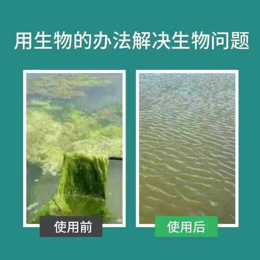Sodium humate is specially used for aquaculture to inhibit moss and cyanobacteria, water purification, modified base fertilizer water, shading and deodorization. Sodium humate 100% independent flakes. 1 Jin Jin is equal to 0.5 kg. Packaging: 50 Jin Jin is equal to 0.5 kg.