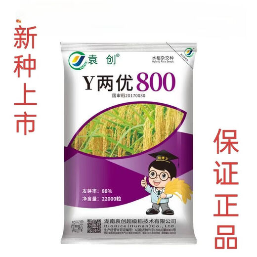 稳产Y两优800杂交水稻种子抗病抗倒适合长江中下游地区种植 高产Y两优800杂交水稻种子抗病抗倒适合长江中下游