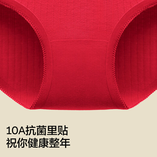 Jiao Nei Red Project 311S Women's Briefs 10A Antibacterial Zodiac Year of the Horse Ribbed Cotton Feel Breathable Gift Box 3 Pieces