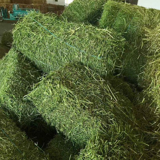 Alfalfa hay, fodder for cattle, sheep and horses, alfalfa fodder for alpacas, large zoo feed, alfalfa 10kg
