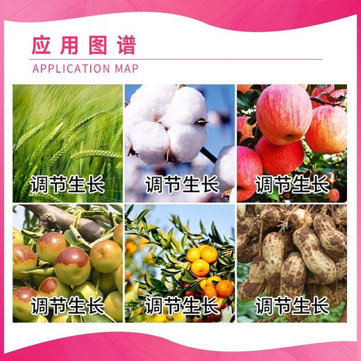 Longdeng Aizumi Propionyl Brassinolide Cucumber Grape Wheat Promotes Cell Growth and Division Growth Regulator 5ml 10 Pack