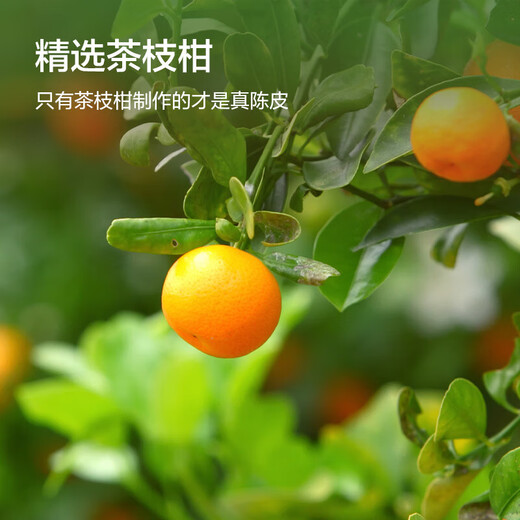 Tong Ren Tang (TRT) authentic Xinhui 10 old tangerine peels 105g Guangdong Xinhui Dahongpi 10 dried tangerine peels elder gift health tea