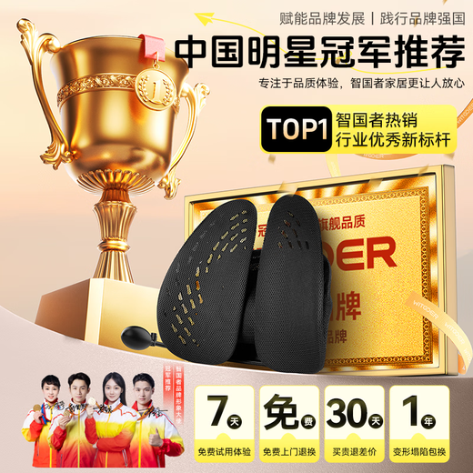 Wise Nation Ergonomic Waist Support Waist Support Sedentary Artifact Waist Back Pad Pillow Office Seat Car Support