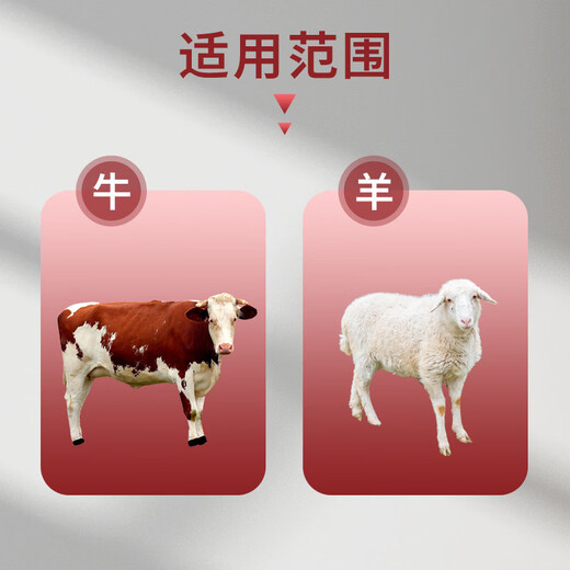 Male herding cattle and sheep appetizer fattening treasure cattle and sheep fattening fattening meat to strengthen the stomach and promote absorption veterinary appetizer king feed additive