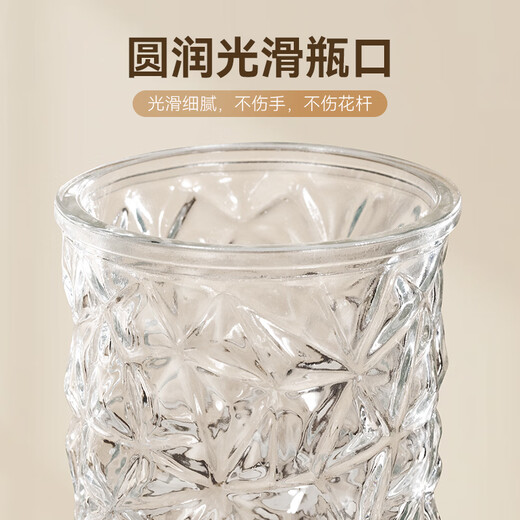 Jin Longxing light luxury glass transparent vase large-diameter ornaments living room flower arrangement creative art hydroponic water-cultured roses and tulips