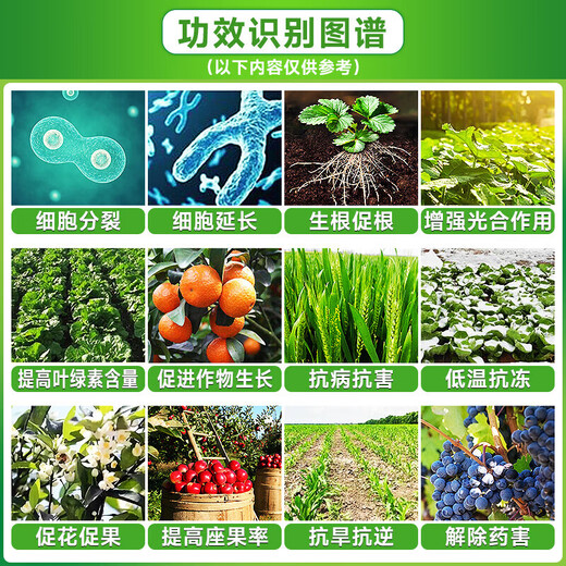 28 epibrassinolide regulates growth, preserves flowers, preserves fruits, roots, and strengthens seedlings. Universal foliar fertilizer brassinolide 1000ml