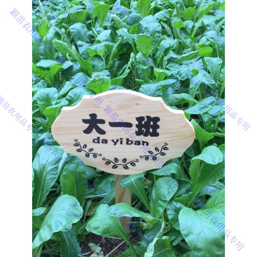 定制木牌子公园菜园菜地木质草地种植区指示牌立式插地牌爱护花草 40*24CM
